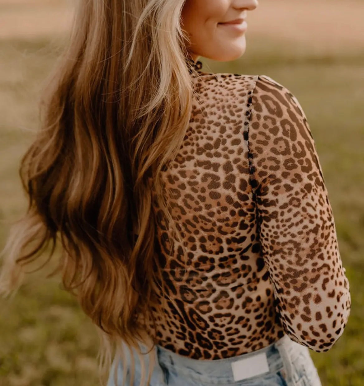 Brown Leopard Smocked Neck Mesh Bodysuit